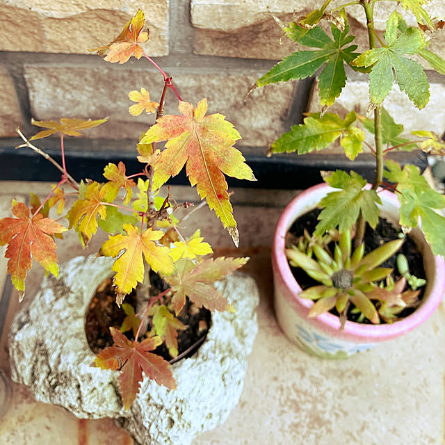 leafさんの実例写真