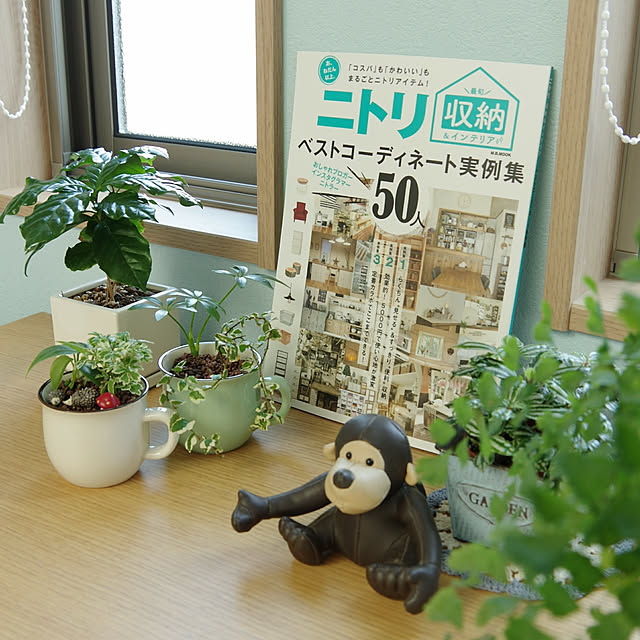 Shooowkoさんの実例写真
