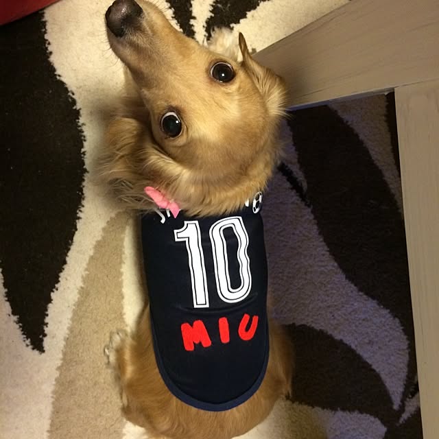 miumiuさんの実例写真