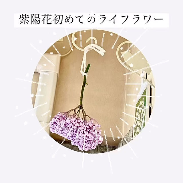YuuKoさんの実例写真