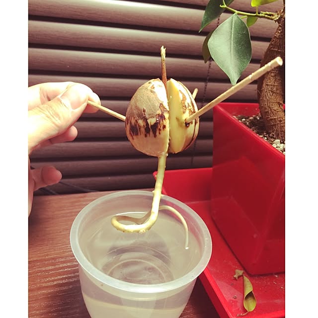 Taroyさんの実例写真
