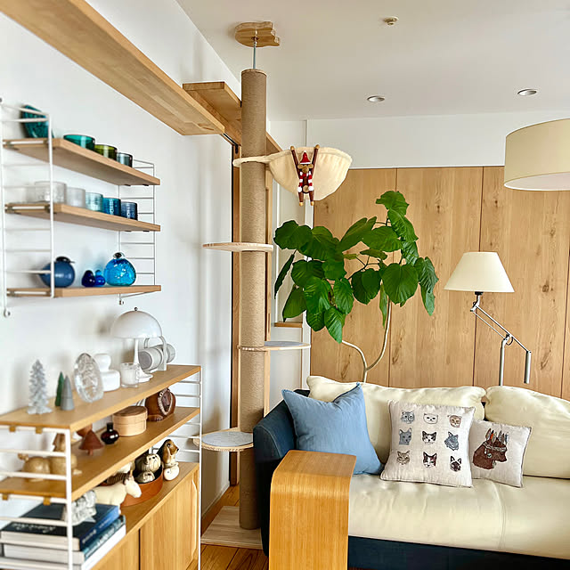 pooさんの実例写真