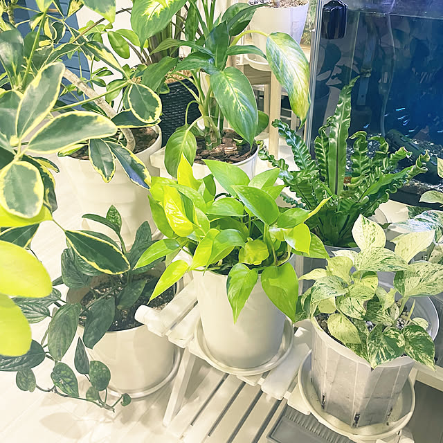 kanakoさんの部屋