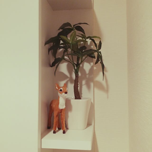 Aさんの実例写真