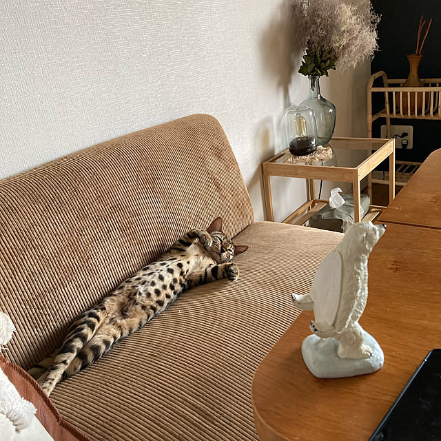 riechocoさんの実例写真