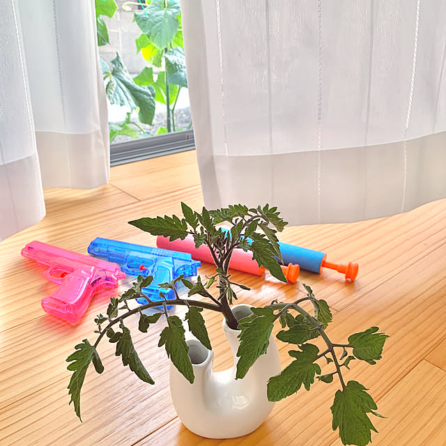 koko_hikaさんの実例写真