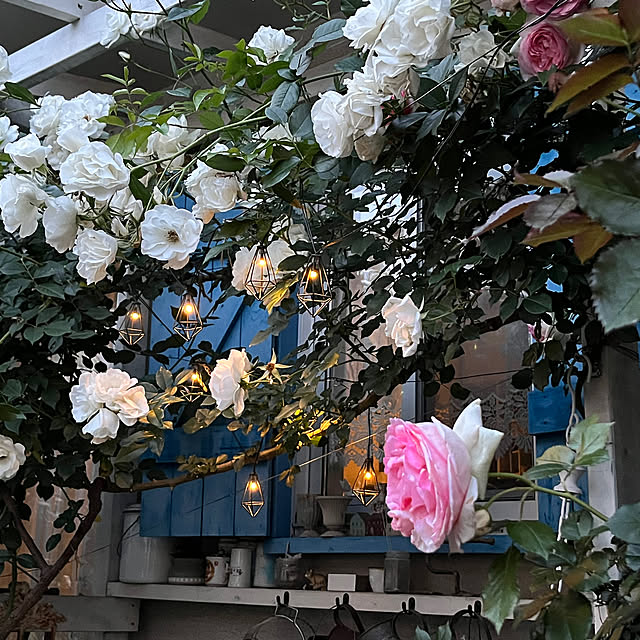 yumekoさんの部屋