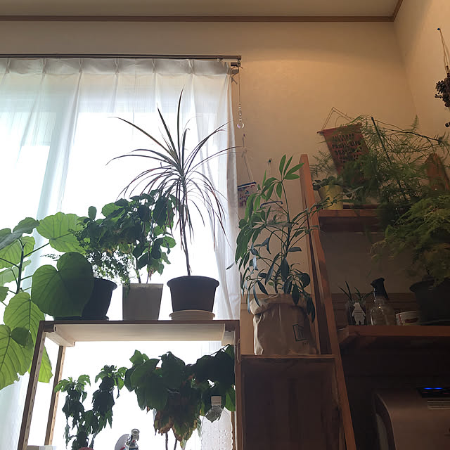 aqoさんの実例写真