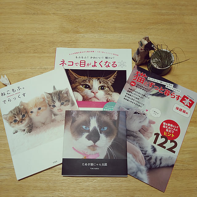 kiyohima229さんの実例写真