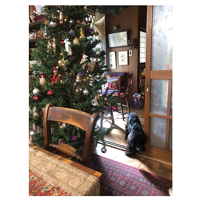 riettaさんの実例写真