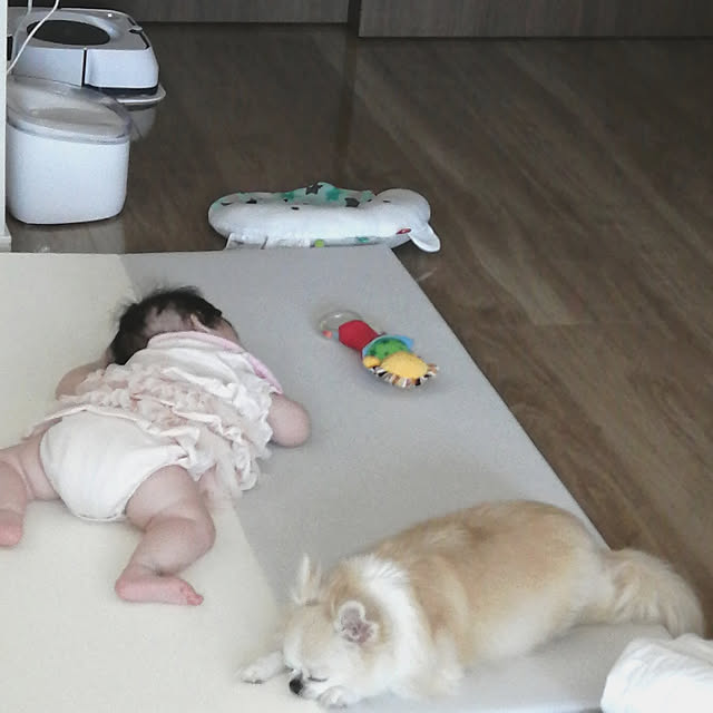 ponさんの実例写真