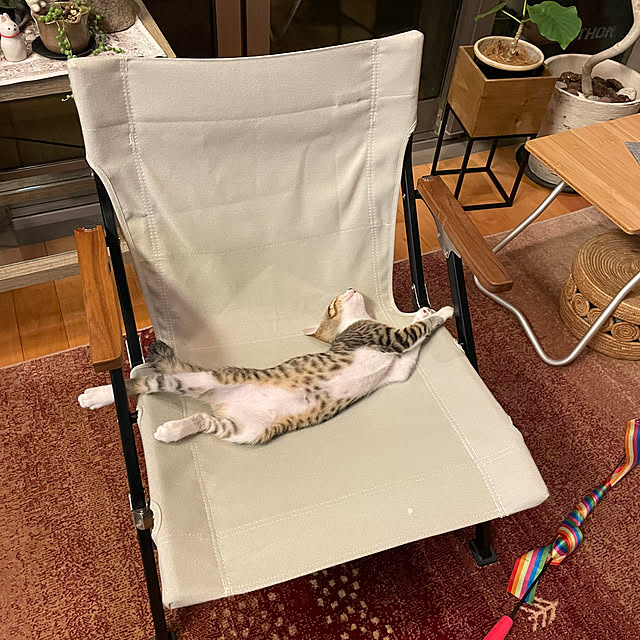 noraさんの実例写真