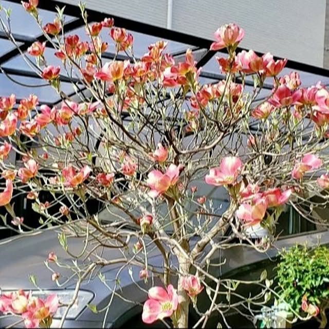 Itokon2022さんの実例写真