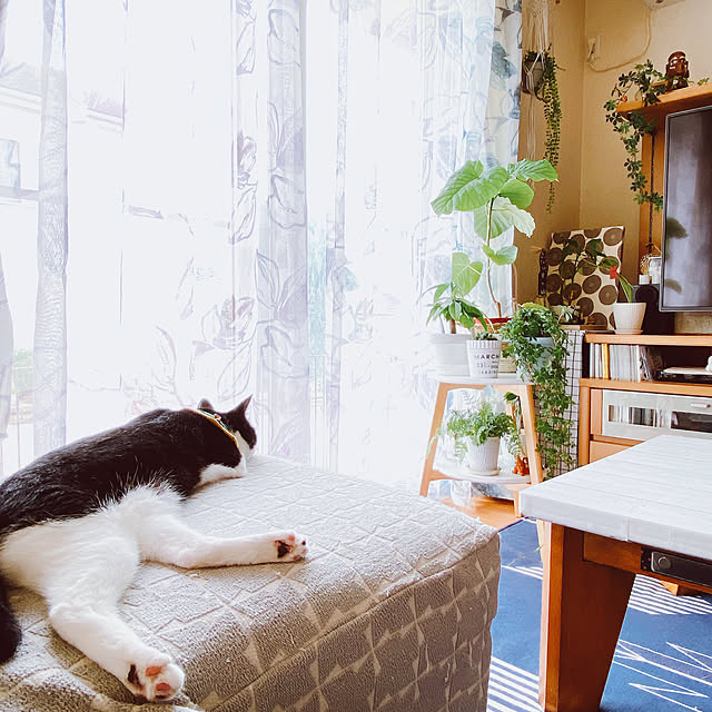 moolさんの部屋