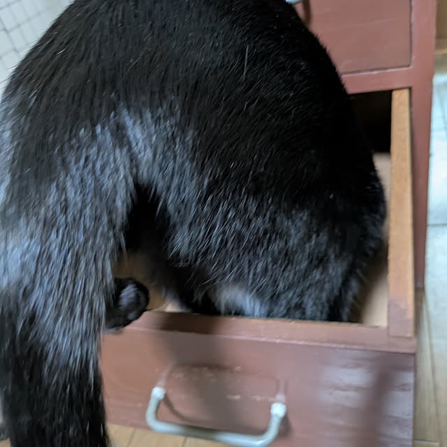 asaさんの部屋