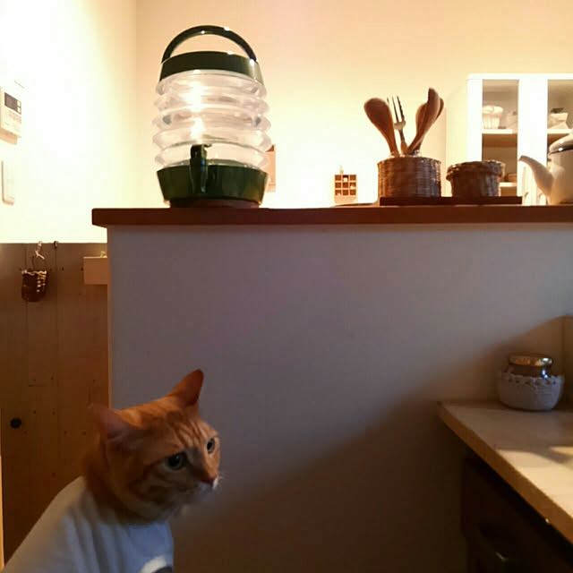 mayutan.さんの実例写真