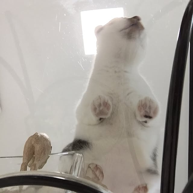 yuchiさんの実例写真