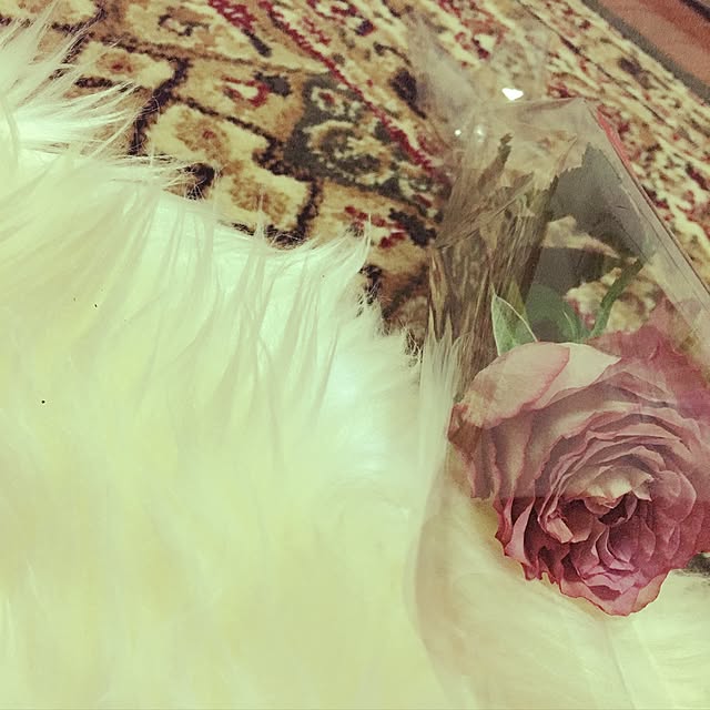 yukさんの実例写真