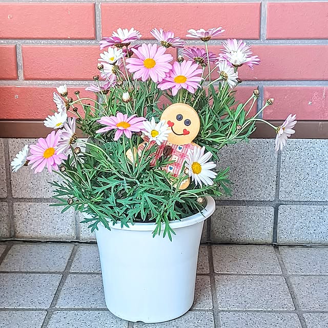 nanaさんの部屋