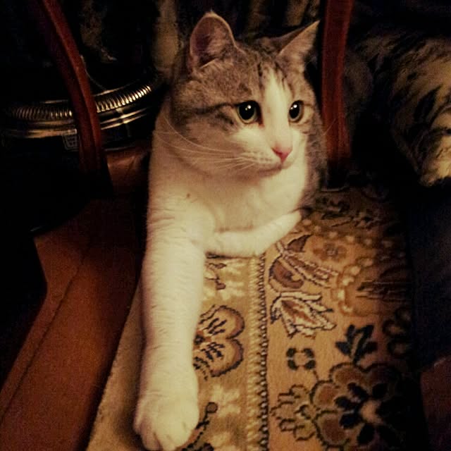 emmyyさんの実例写真