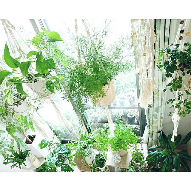 YuriYuriさんの実例写真