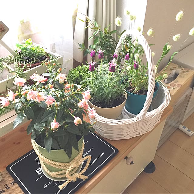 reeさんの実例写真