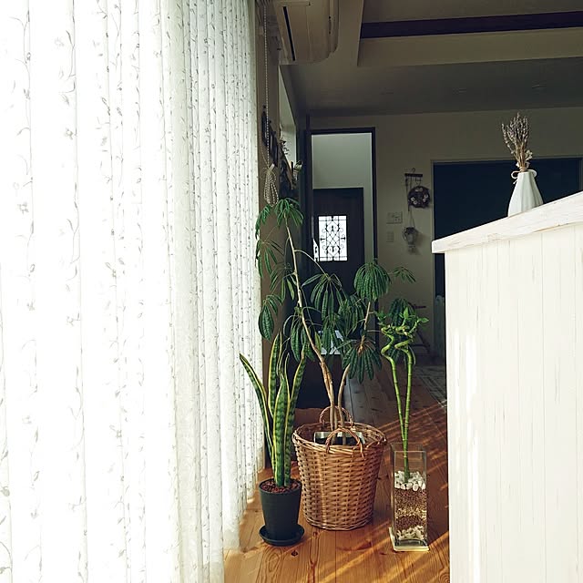 ri-eさんの実例写真
