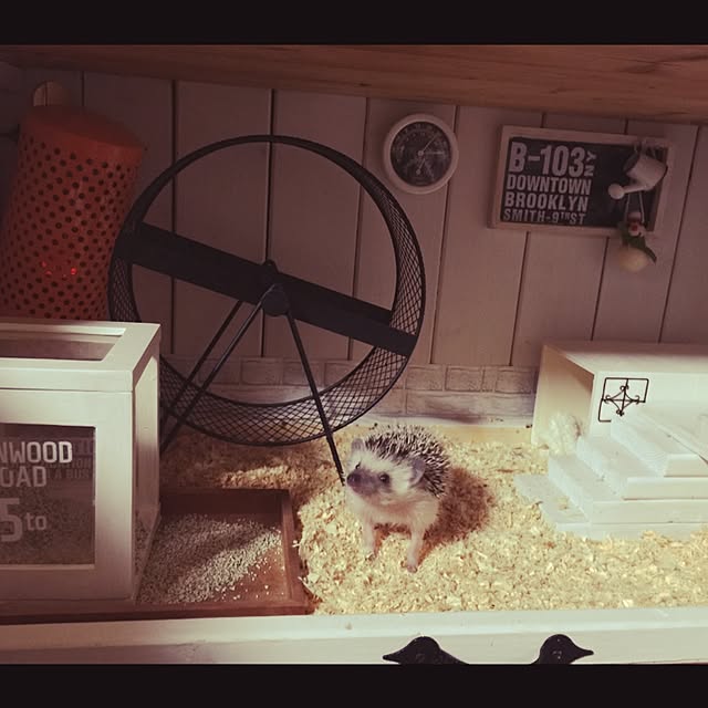 RURULOVEさんの実例写真