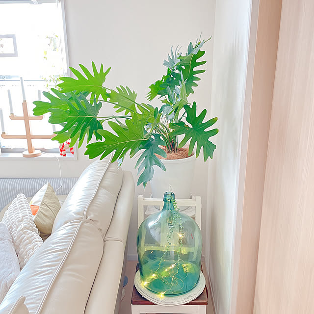 akiko-ovさんの部屋