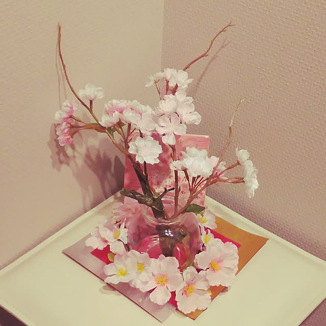 cazさんの実例写真