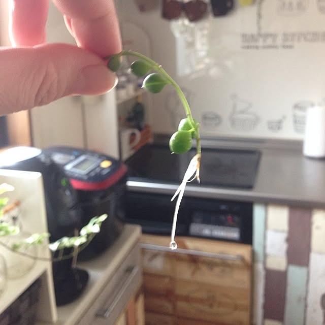 newさんの実例写真