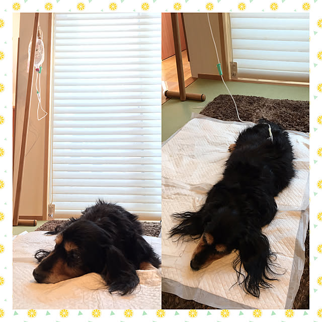 KCFSARさんの実例写真