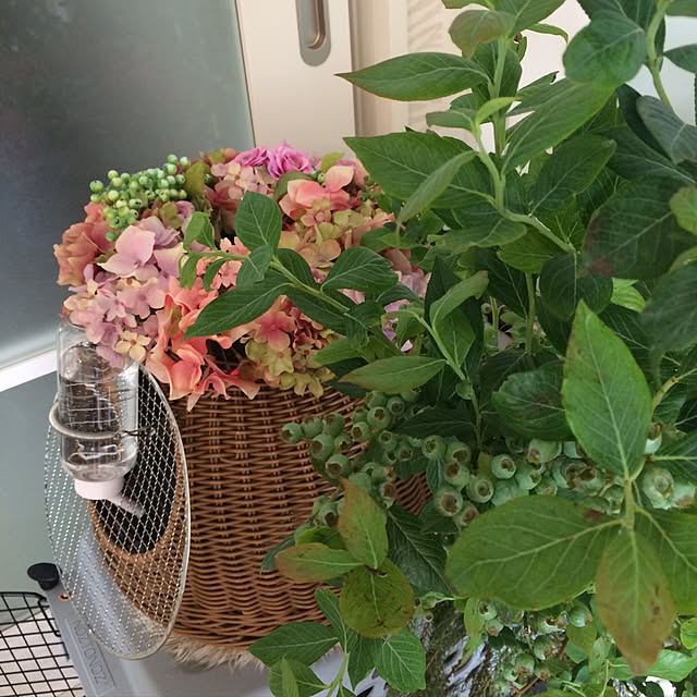 Mさんの実例写真