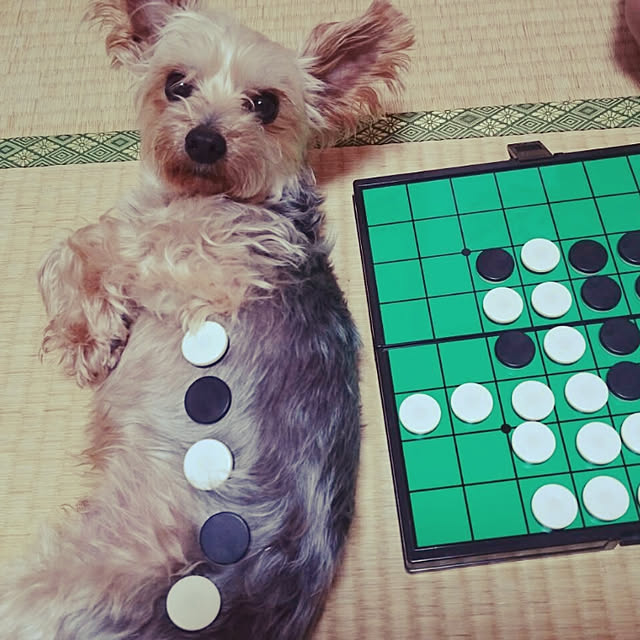 321さんの実例写真