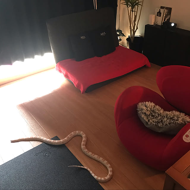mayuさんの実例写真