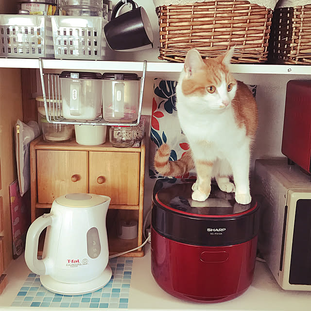 Toyomiさんの実例写真