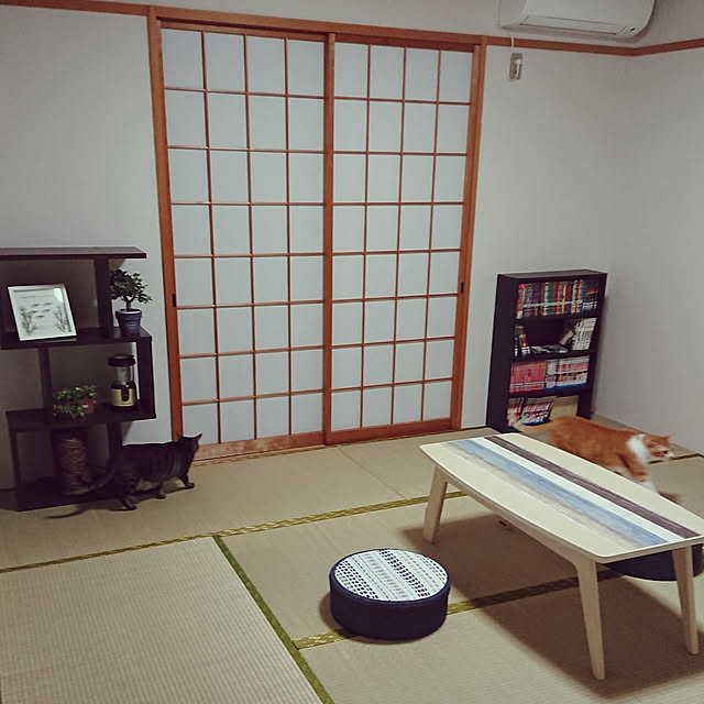 taka-kiさんの実例写真