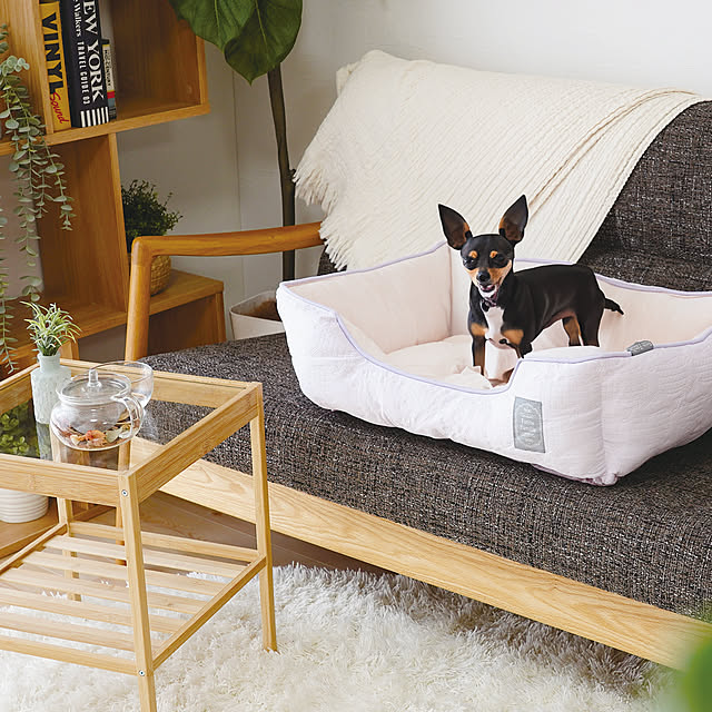 SUNROCK_in_Livingさんの実例写真