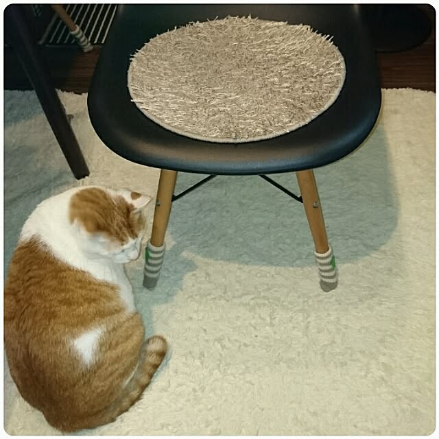 porinさんの実例写真