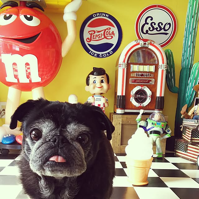 kuupugさんの実例写真