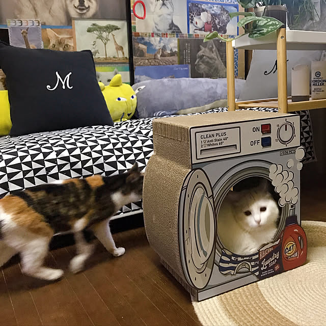 nyanko-beamさんの実例写真