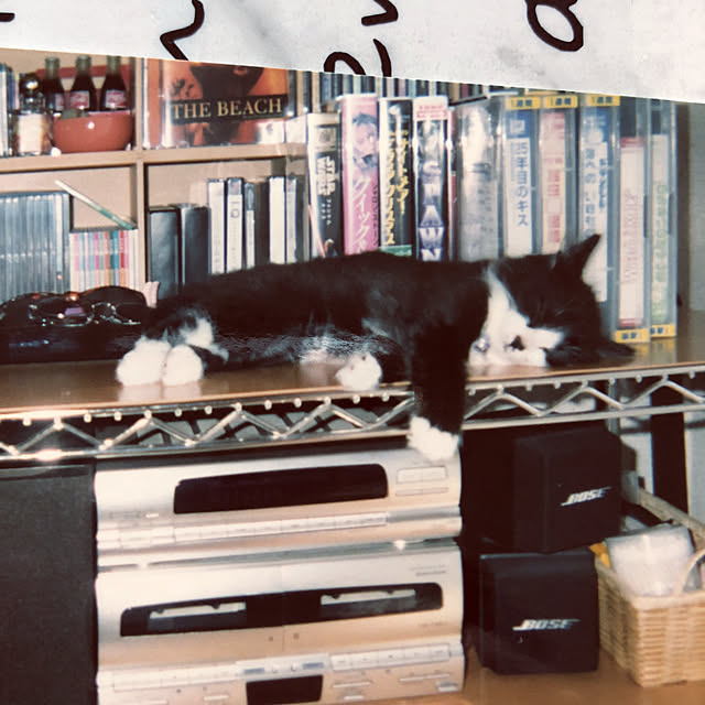 kanaさんの実例写真