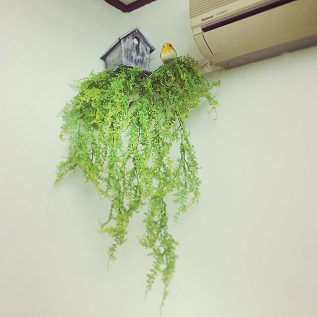 megumiさんの実例写真