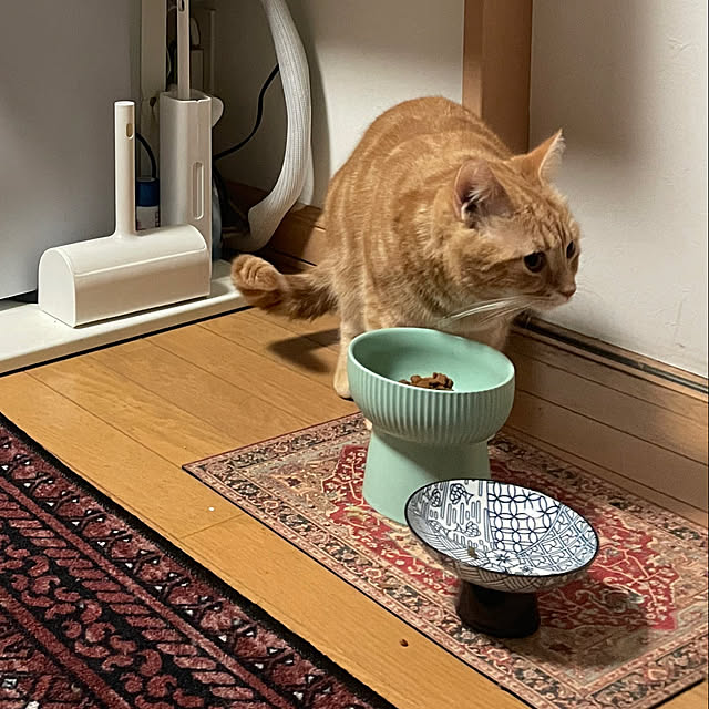 okogeさんの実例写真