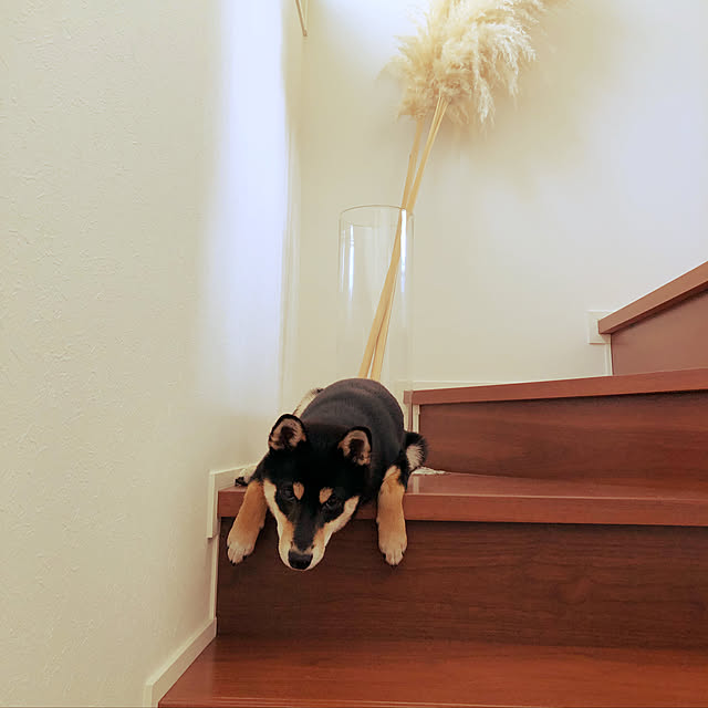 nuruiさんの実例写真
