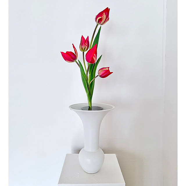 mamyuさんの部屋