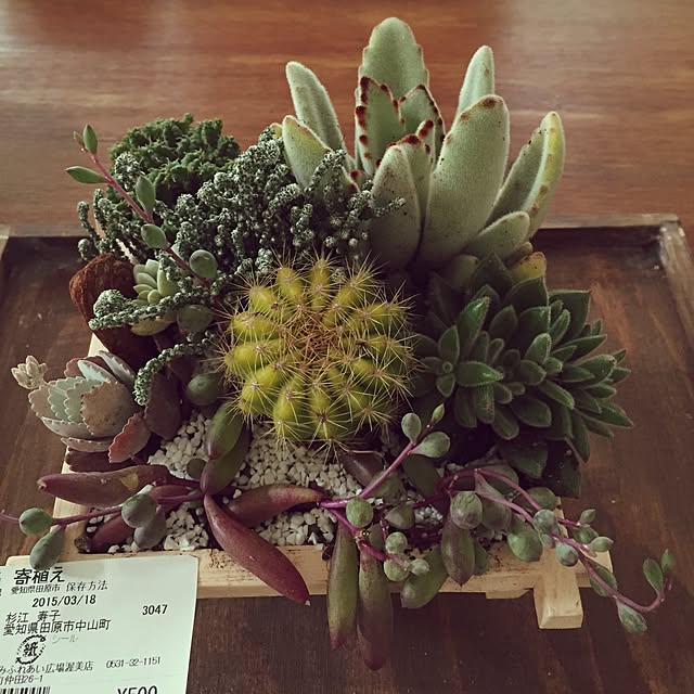 ROBI-FUKUさんの実例写真