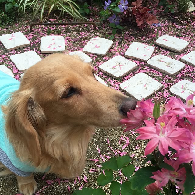 bibianさんの実例写真