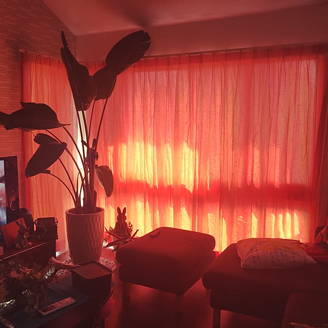 kazulyneさんの実例写真