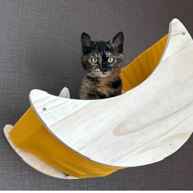 megu.catさんの実例写真